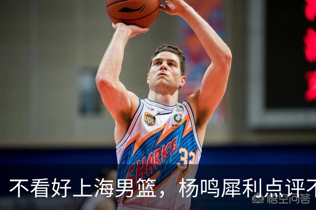 不看好上海男篮，杨鸣犀利点评不留情面，他们变化太大了