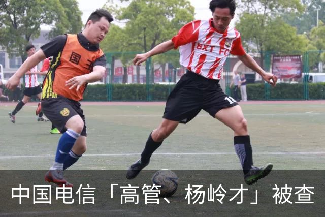 中国电信「高管、杨岭才」被查