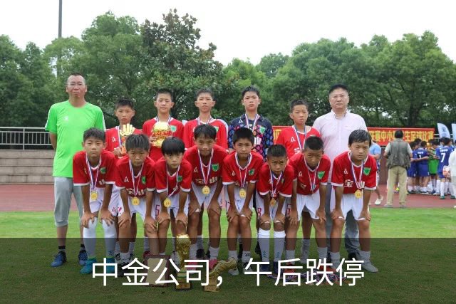 中金公司，午后跌停