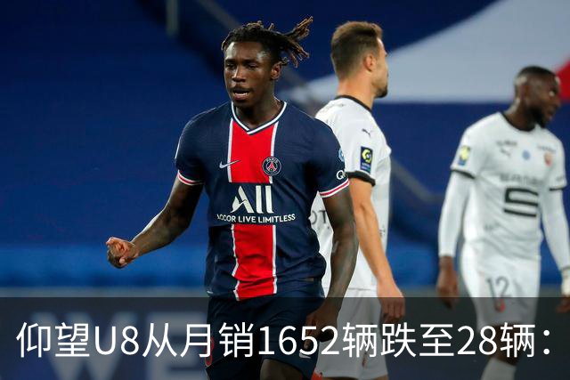仰望U8从月销1652辆跌至28辆：技术堆满为何换不来百万市场？