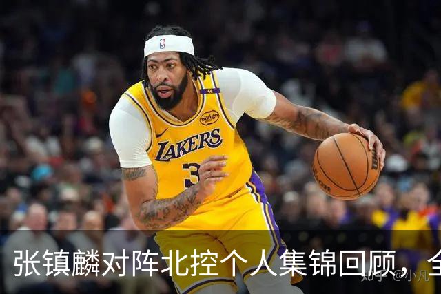 张镇麟对阵北控个人集锦回顾，全场得到28分4助攻