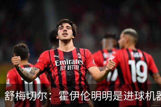舒梅切尔：霍伊伦明明是进球机器，维韦尔来了偏要换成谢什科