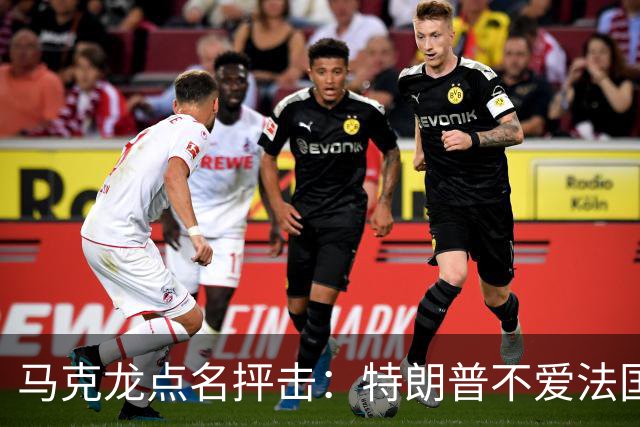 马克龙点名抨击：特朗普不爱法国；部分外国领导人在发表一些愚蠢和不可接受的言论，我很不舒服