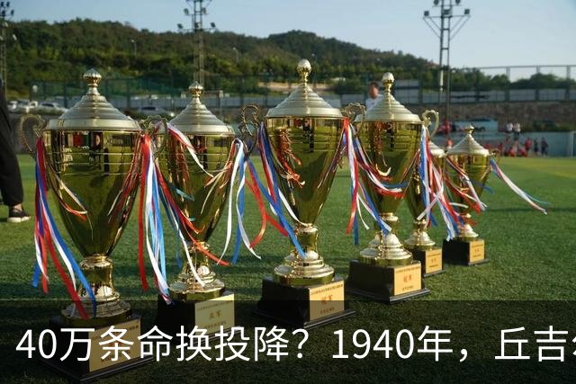 40万条命换投降？1940年，丘吉尔赌上了整个英国