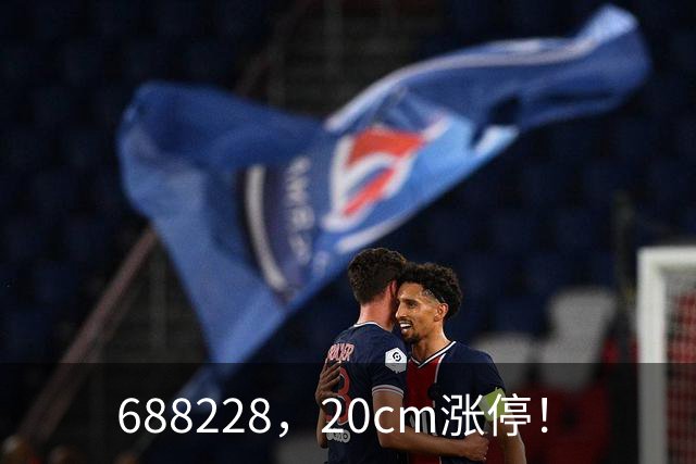 688228，20cm涨停！